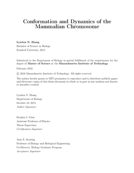 Conformation and Dynamics of the Mammalian Chromosome