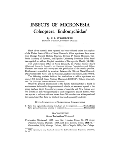 Coleoptera: Endomychidae'