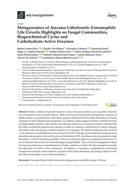 Metagenomics of Atacama Lithobiontic Extremophile Life Unveils Highlights on Fungal Communities, Biogeochemical Cycles and Carbohydrate-Active Enzymes