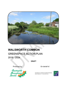 Walsworth Common Greenspace Action Plan 2019 - 2024