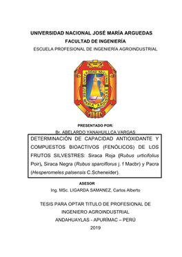 DETERMINACIÓN DE CAPACIDAD ANTIOXIDANTE Y COMPUESTOS BIOACTIVOS (FENÓLICOS) DE LOS FRUTOS SILVESTRES: Siraca Roja (Rubus Urtic