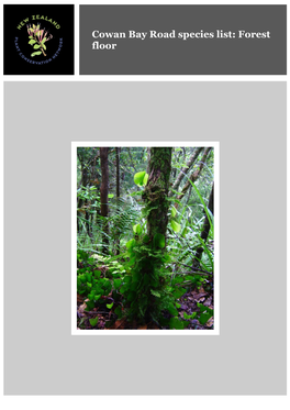 Cowan Bay Road Species List: Forest Floor