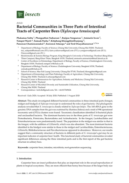 Bacterial Communities in Three Parts of Intestinal Tracts of Carpenter Bees (Xylocopa Tenuiscapa)