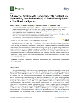 Collembola, Neanuridae, Pseudachorutinae) with the Description of a New Brazilian Species