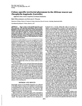 Colony-Specific Territorial Pheromone in the African Weaver Ant Oecophylla Longinoda