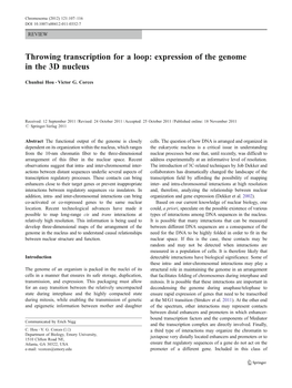 Throwing Transcription for a Loop: Expression of the Genome in the 3D Nucleus