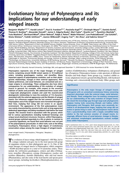 Evolutionary History of Polyneoptera and Its Implications for Our Understanding of Early Winged Insects