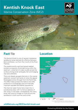 Kentish Knock East Marine Conservation Zone (MCZ)