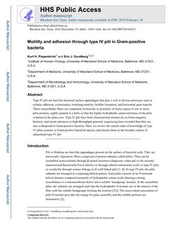 Motility and Adhesion Through Type IV Pili in Gram-Positive Bacteria