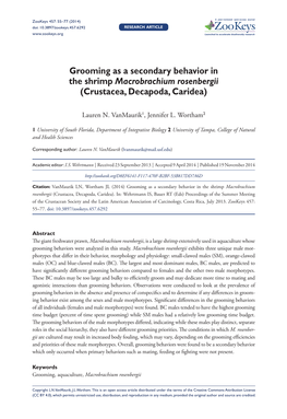 ﻿Grooming As a Secondary Behavior in the Shrimp Macrobrachium