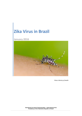 Zika Virus in Brazil