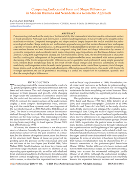 Comparing Endocranial Form and Shape Differences in Modern Humans and Neandertals: a Geometric Approach