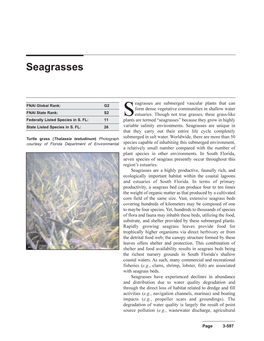 Seagrasses Are Submerged Vascular Plants That