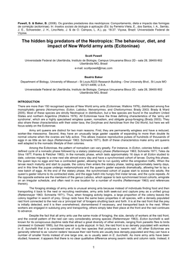 The Behaviour, Diet, and Impact of New World Army Ants (Ecitoninae)