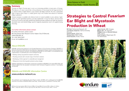 Wheat Case Study Guide Number 2