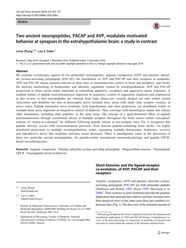 Two Ancient Neuropeptides, PACAP and AVP, Modulate Motivated Behavior at Synapses in the Extrahypothalamic Brain: a Study in Contrast