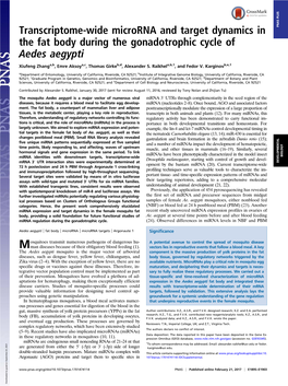 Transcriptome-Wide Microrna and Target Dynamics in the Fat Body