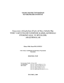 Tanacetum Chiliophyllum (Fisch. & Mey.)