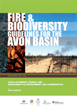Guidelines for the Avon Basin