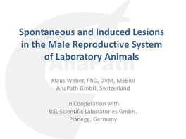 Spontaneous and Induced Lesions in the Male Reproductive System of Laboratory Animals