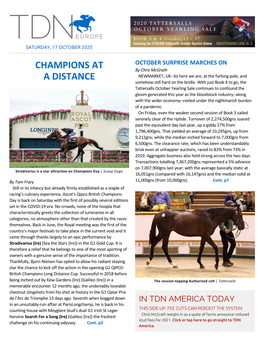 Tdn Europe • Page 2 of 15 • Thetdn.Com Saturday • 17 October 2020