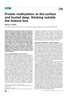 Protein Methylation at the Surface and Buried Deep