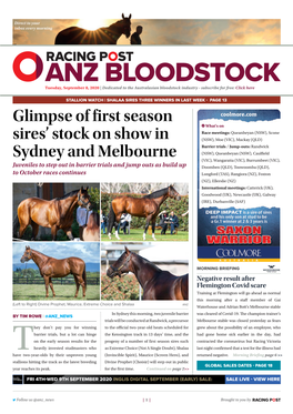 Glimpse of First Season Sires' Stock on Show in Sydney and Melbourne