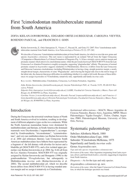 First ?Cimolodontan Multituberculate Mammal from South America