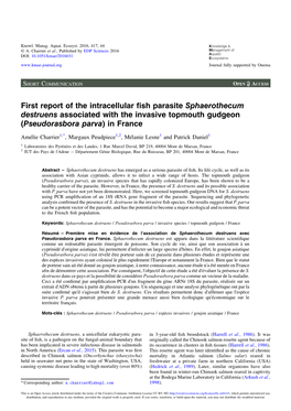 First Report of the Intracellular Fish Parasite Sphaerothecum Destruens