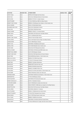 Değirmenaltı Köyü Ilkokulu - 38,89