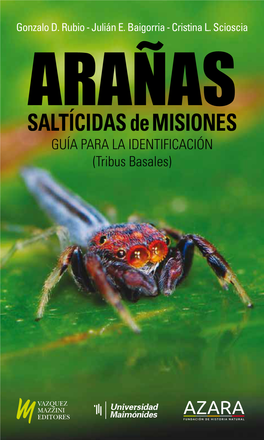 Saltícidas De Misiones : Guía Para La Identificación : Tribus Basales / Gonzalo D
