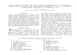 The Fossil Flora of the Grey Limestones of Veneto, Northern Italy, and Its Relationships to the Other