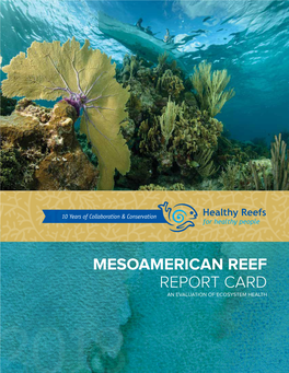 Mesoamerican Reef Report Card an Evaluation of Ecosystem Health 2018 Mesoamerican Reef Health Report Card 2018