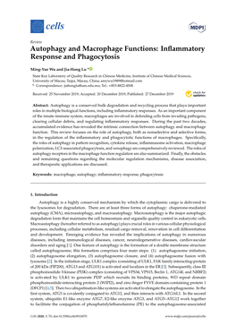 Autophagy and Macrophage Functions: Inﬂammatory Response and Phagocytosis