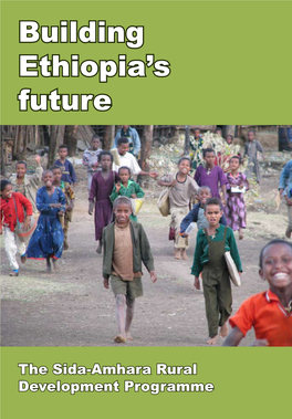 Building Ethiopia's Future