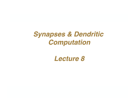 Synapses & Dendritic Computation Lecture 8