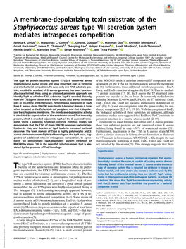 A Membrane-Depolarizing Toxin Substrate of the Staphylococcus Aureus Type VII Secretion System Mediates Intraspecies Competition