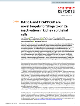 RAB5A and TRAPPC6B Are Novel Targets for Shiga Toxin 2A Inactivation in Kidney Epithelial Cells Ivan U