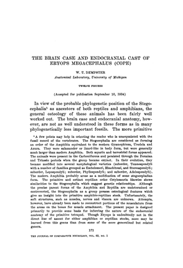 The Brain Case and Endocranial Cast of Eryops Megacephalus (Cope)