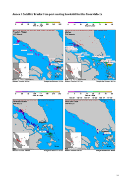 Satellite Tracks from Post-Nesting Hawksbill Turtles from Malacca