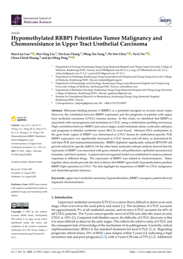 Hypomethylated RRBP1 Potentiates Tumor Malignancy and Chemoresistance in Upper Tract Urothelial Carcinoma