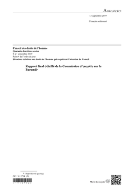 Rapport Final Détaillé (A/HRC/42/CRP.2)