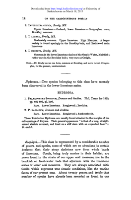 14 Hydrozoa.—Two Species Belonging to This Class