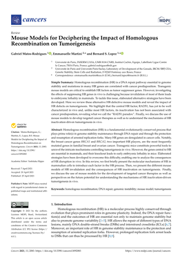 Mouse Models for Deciphering the Impact of Homologous Recombination on Tumorigenesis