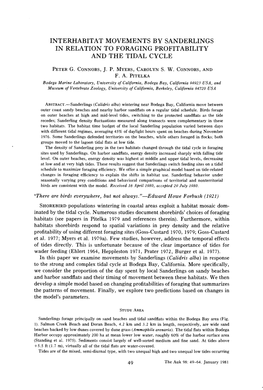 Interhabitat Movements by Sanderlings in Relation to Foraging Profitability and the Tidal Cycle
