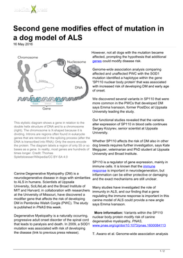 Second Gene Modifies Effect of Mutation in a Dog Model of ALS 16 May 2016