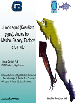 Jumbo Squid (Dosidicus Gigas), Studies from Mexico