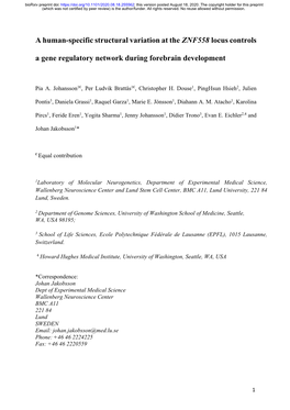 A Human-Specific Structural Variation at the ZNF558 Locus Controls A