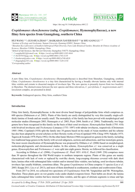 Crepidomanes Shenzhenense (Subg