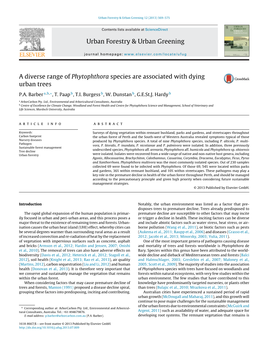 A Diverse Range of Phytophthora Species Are Associated with Dying Urban Trees